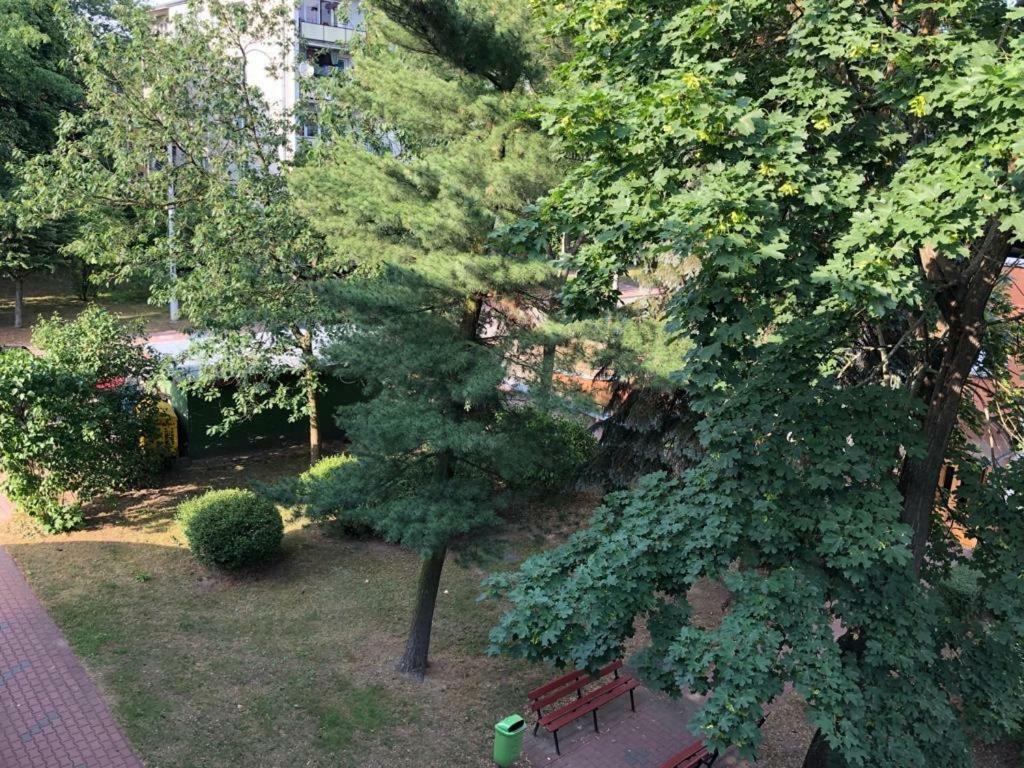 Appartement Chrobrego 269 à Biała Podlaska Extérieur photo